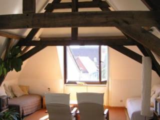 Ridderspoor Flats Appartement